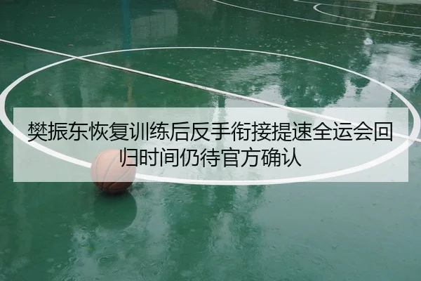 樊振东恢复训练后反手衔接提速全运会回归时间仍待官方确认