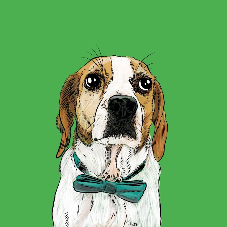 Dog illustration