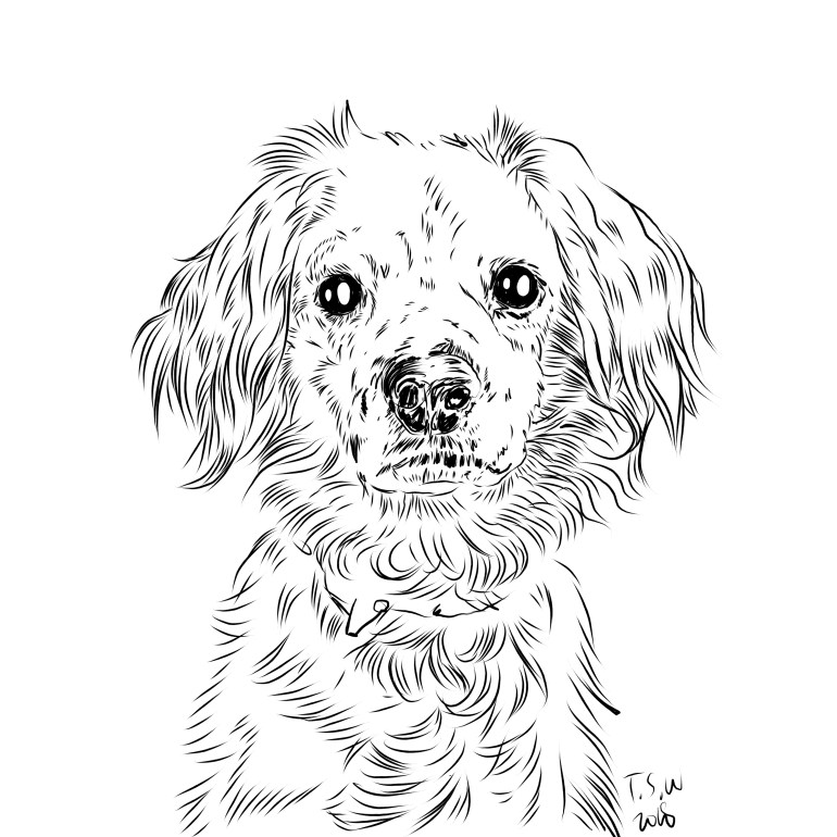 Dog drawing