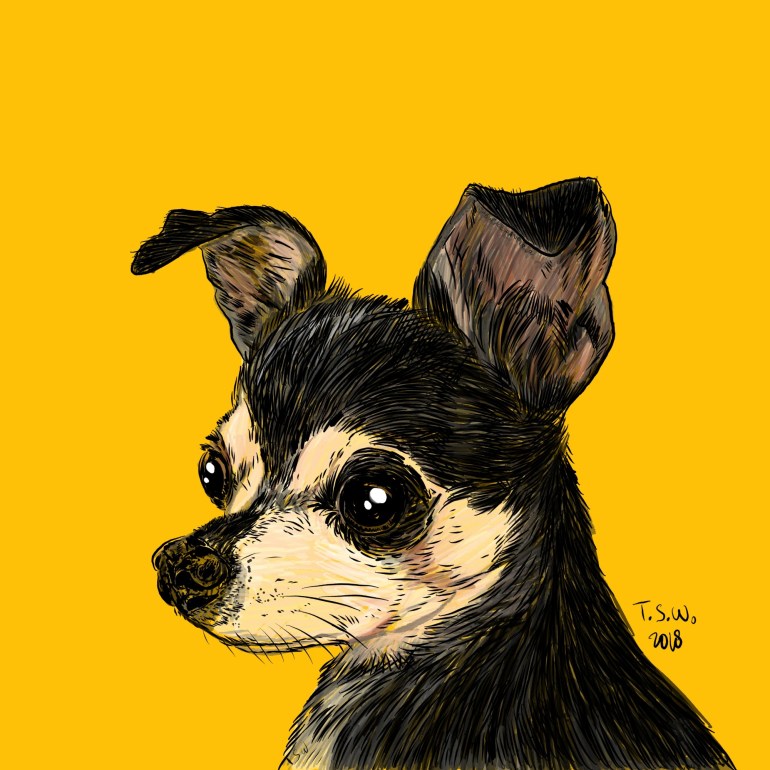 Custom dog illustration