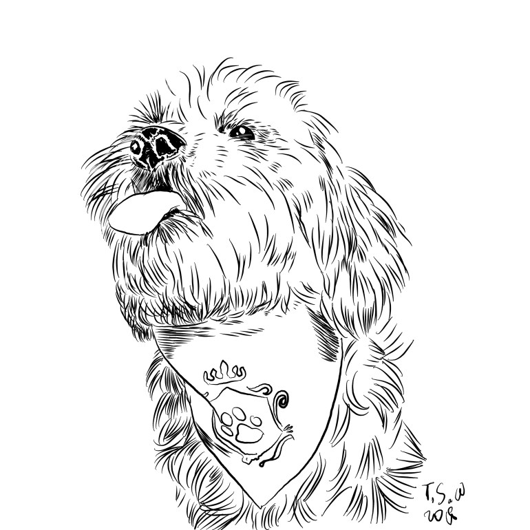 Custom dog illustration