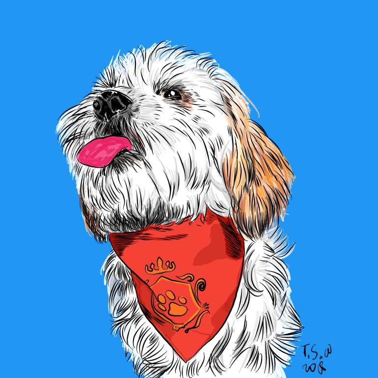 Custom dog illustration