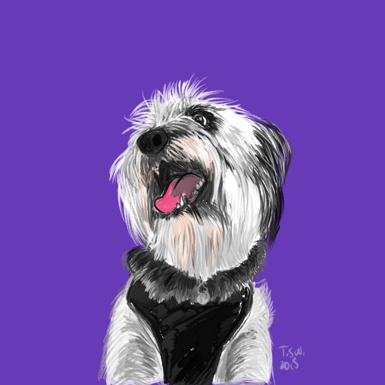 Dog illustration Dog illustration