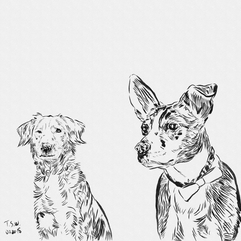 Drawing a couple of dogs