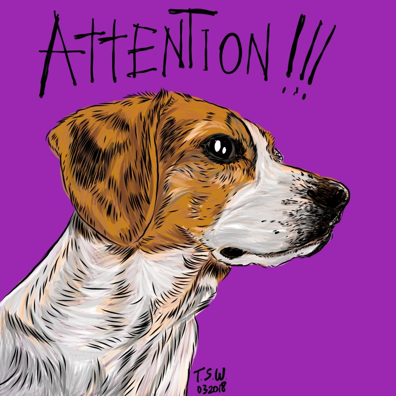 Drawing a dog Drawing a dog