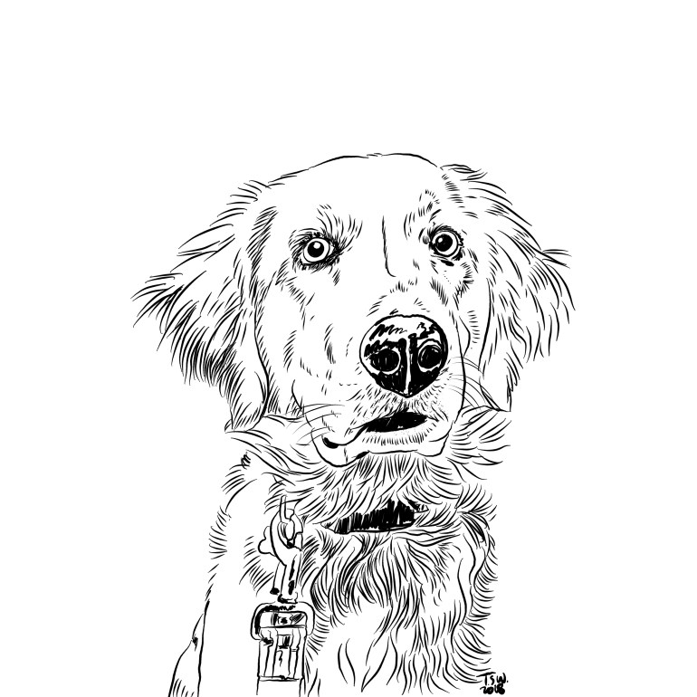 Custom dog illustration