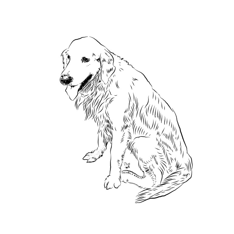 Dog Illustration