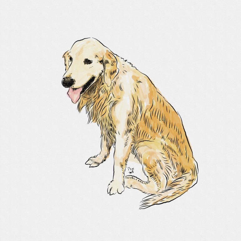 Dog Illustration