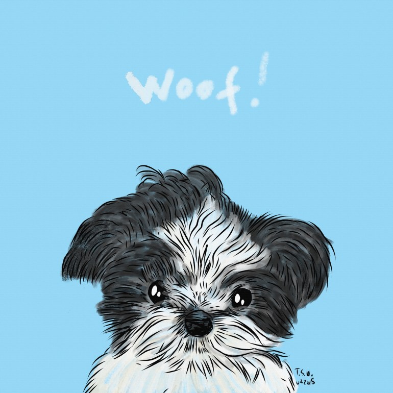 Dog drawing