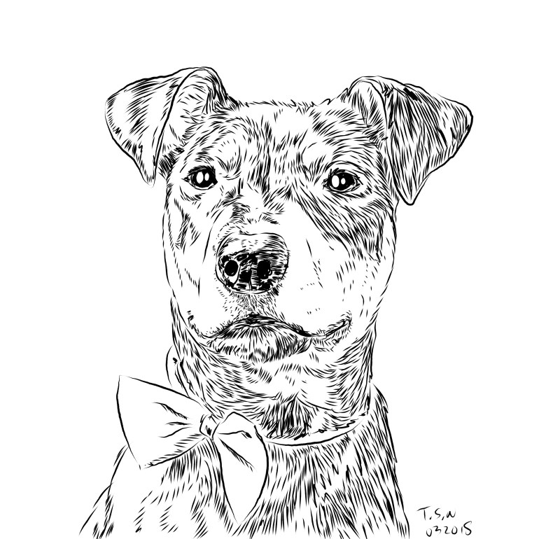 Dog drawing
