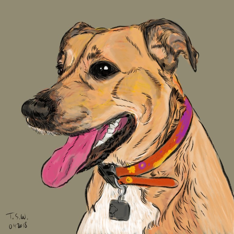 Custom dog portrait