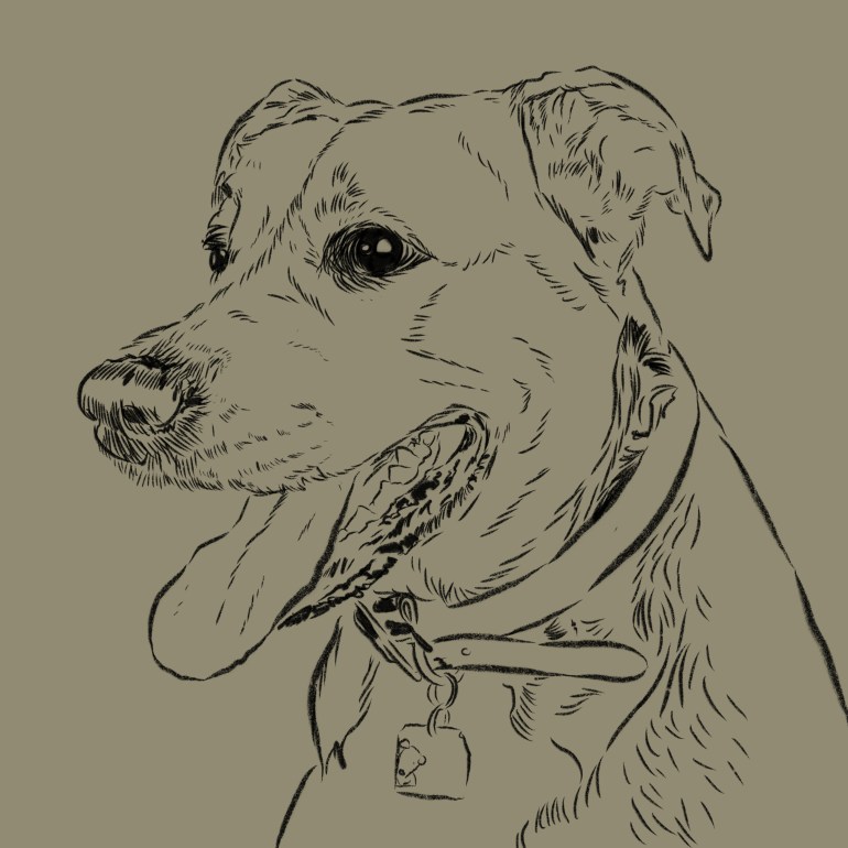 Custom dog portrait