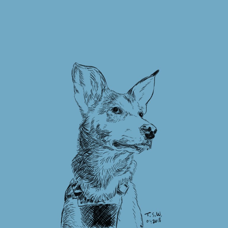 Custom dog drawing