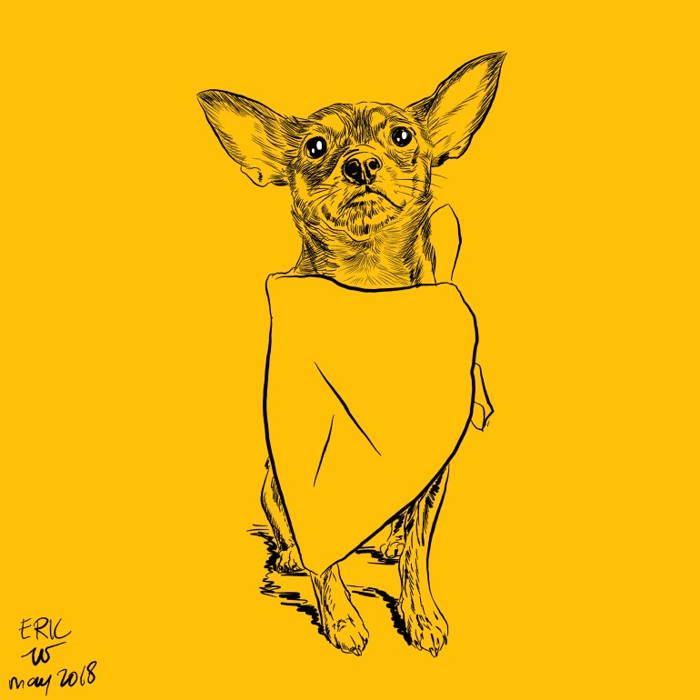 Dog drawing